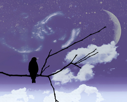 Space theme bird on branch blue sky