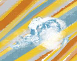 Contemporary theme orange paint splash